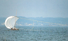 霞ヶ浦の風物詩