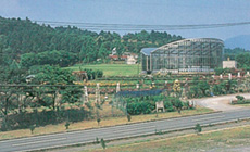 県立フラワーパーク