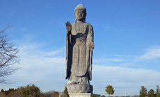 牛久大仏